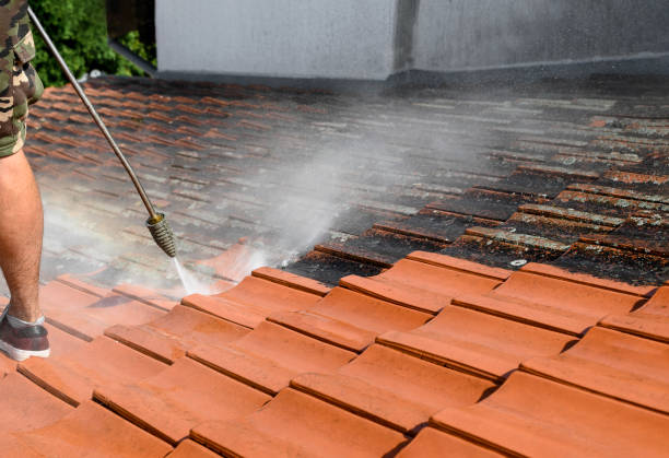 Best Residential Pressure Washing Services  in Skyline Acres, OH