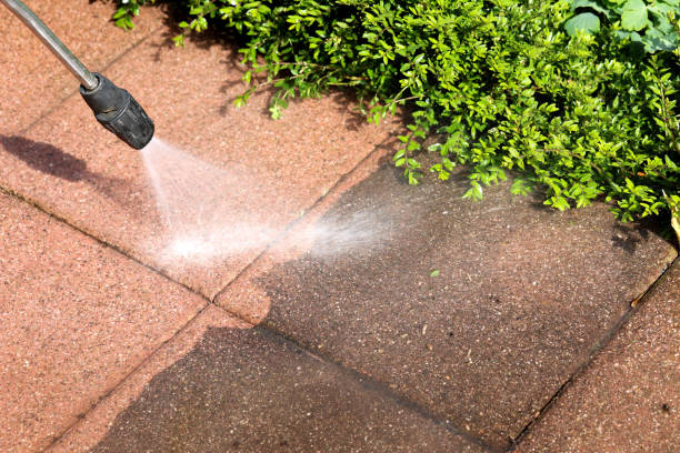 Best Pressure Washing Company Near Me  in Skyline Acres, OH